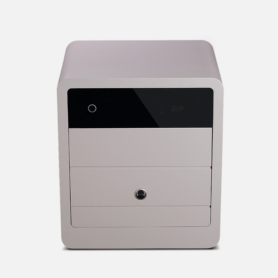 Kale KD060/20-149 Kale Parmak İzi Okuyuculu Elektronik Kasa